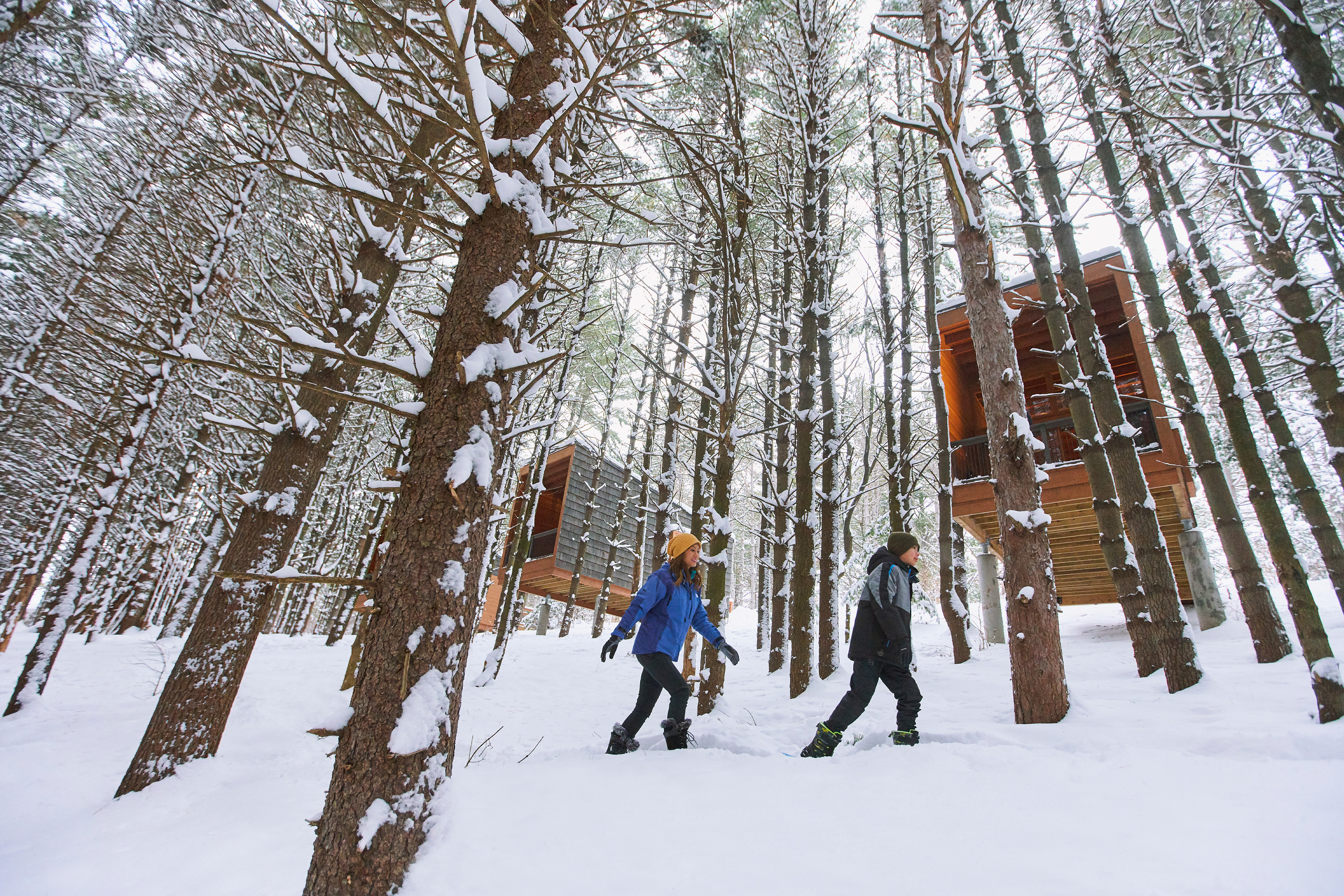 Snowshoeing Whitetail Woods Farmington