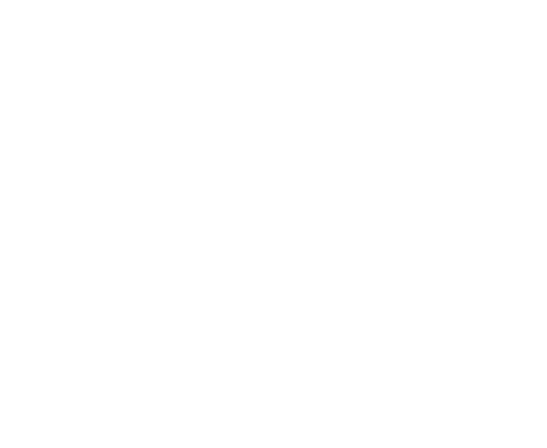 Fox News Logo