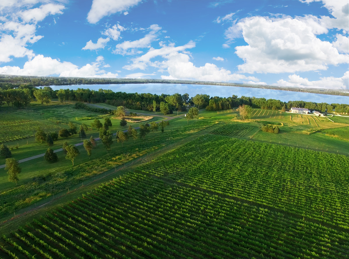 winery tours mn