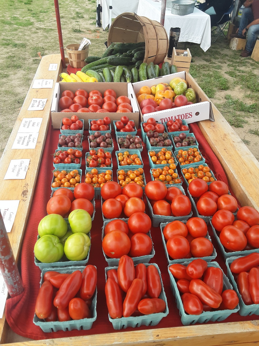 Carters' Farm | Explore Minnesota