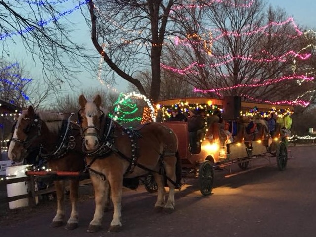 Light the Night Holiday Celebration | Explore Minnesota