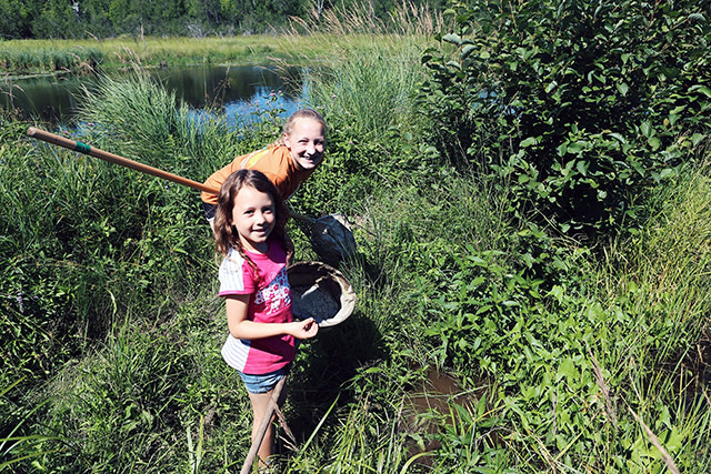 Wolf Ridge Environmental Learning Center | Explore Minnesota