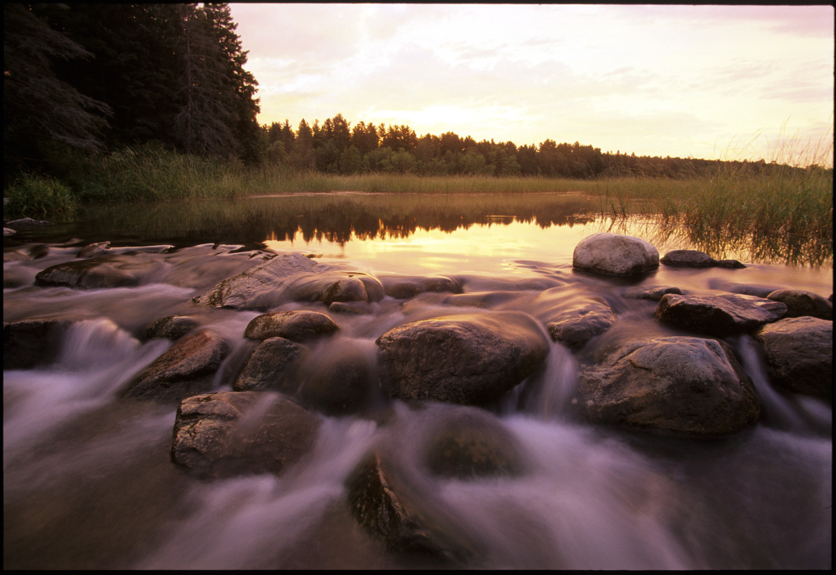 Itasca State Park | Explore Minnesota