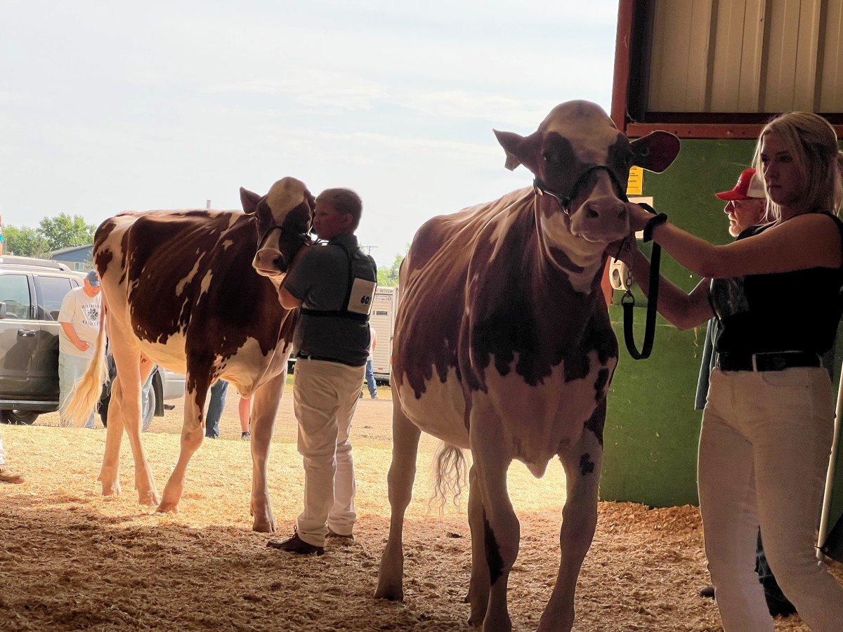 East Otter Tail County Fair Explore Minnesota