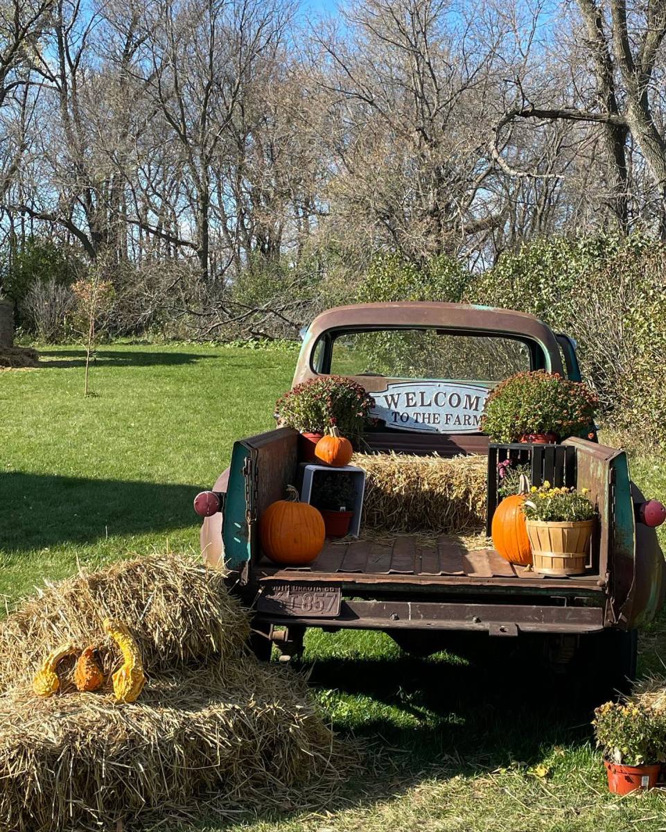 Kandi Land Farm | Explore Minnesota