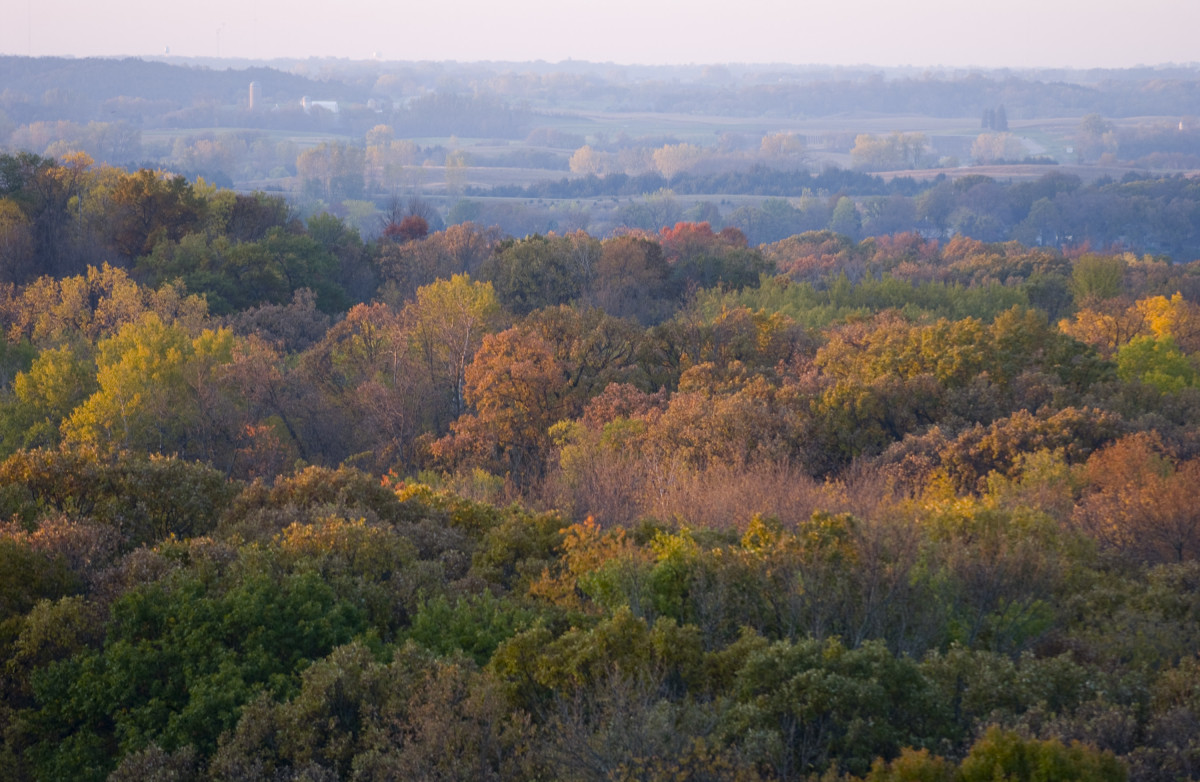 Sibley State Park | Explore Minnesota