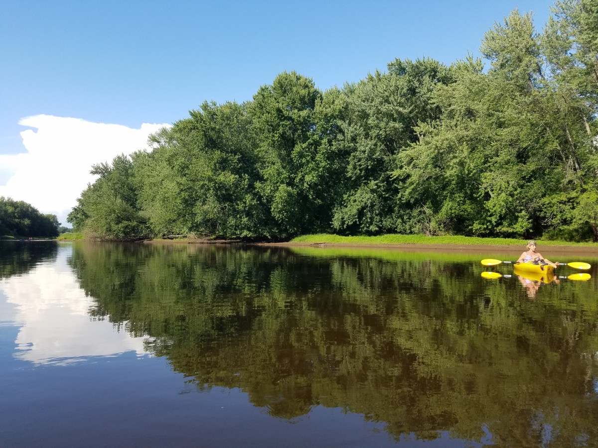 Saint Paul Travel Guide  Saint Paul Tourism - KAYAK