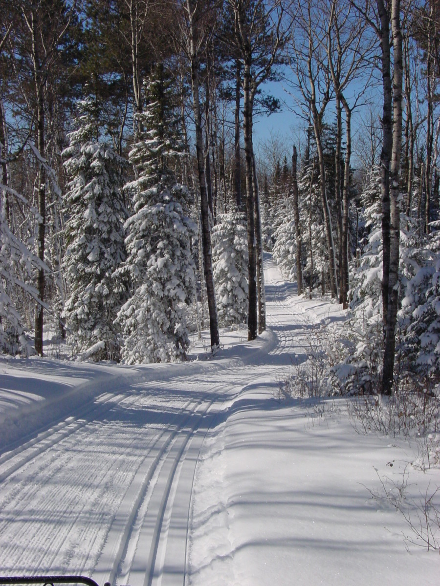 Central Gunflint Cross Country Ski Trail System Explore Minnesota