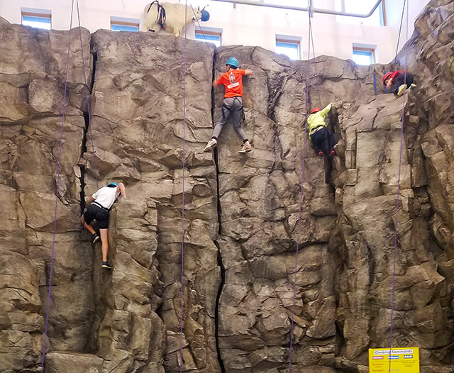 Wolf Ridge Environmental Learning Center | Explore Minnesota