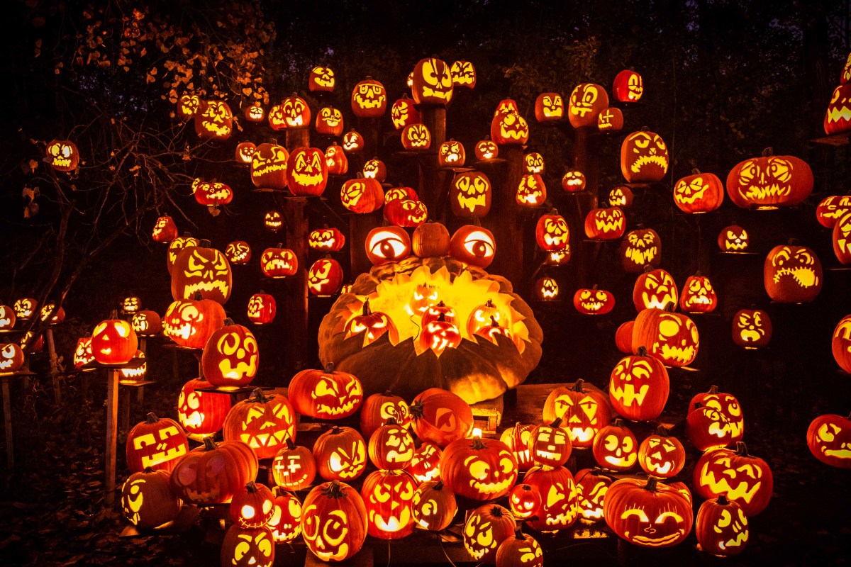 Jack O Lantern Spectacular Explore Minnesota