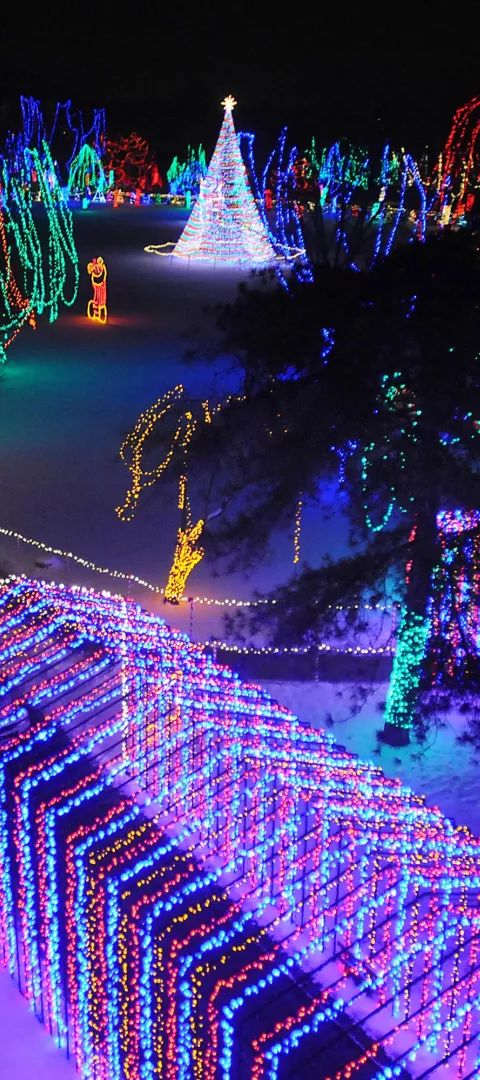 Kiwanis Holiday Lights in Mankato