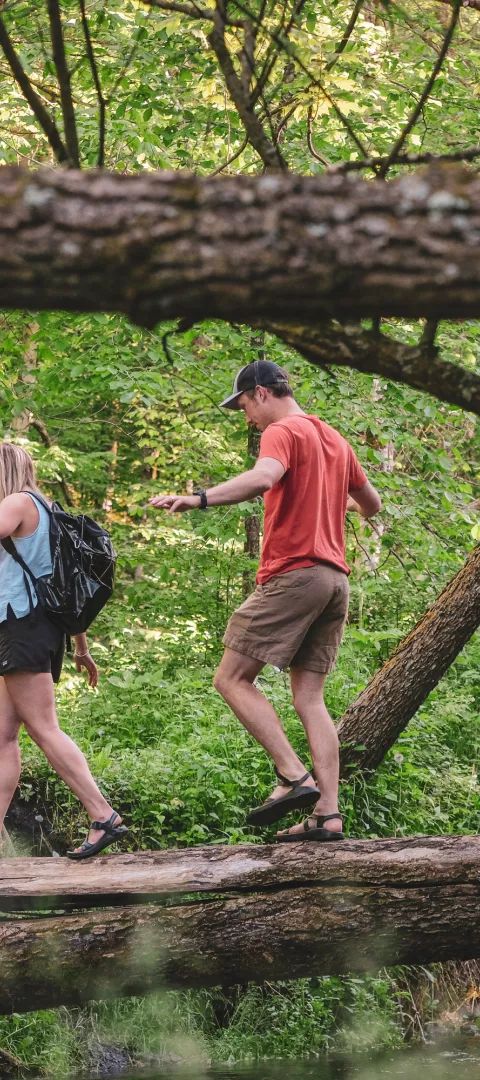 Hikers walking across a log in Whitewater State Park