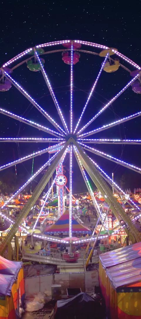 A giant ferris wheel and Midway at the Minnesota State Fair