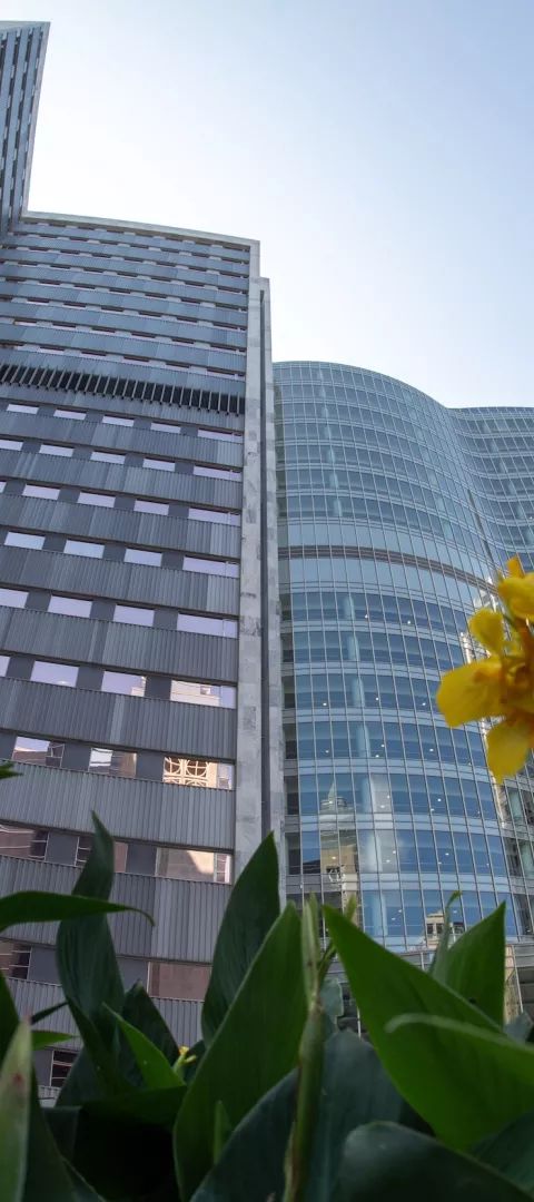 Mayo Clinic exterior with flowers