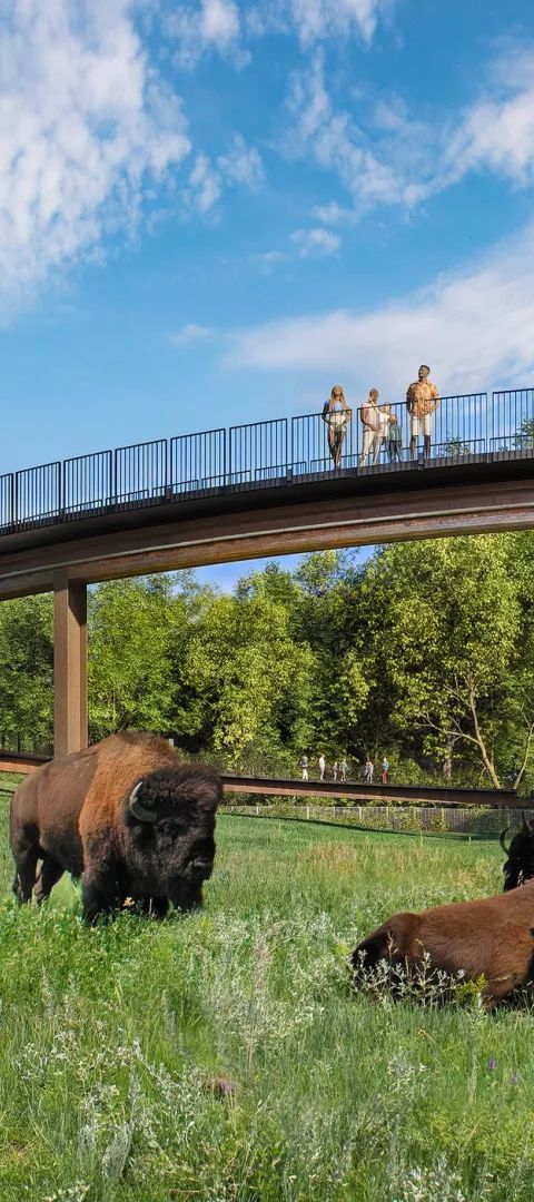 Treetop Trail at Minnesota Zoo