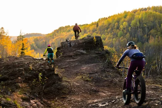 Mtb best sale bike park