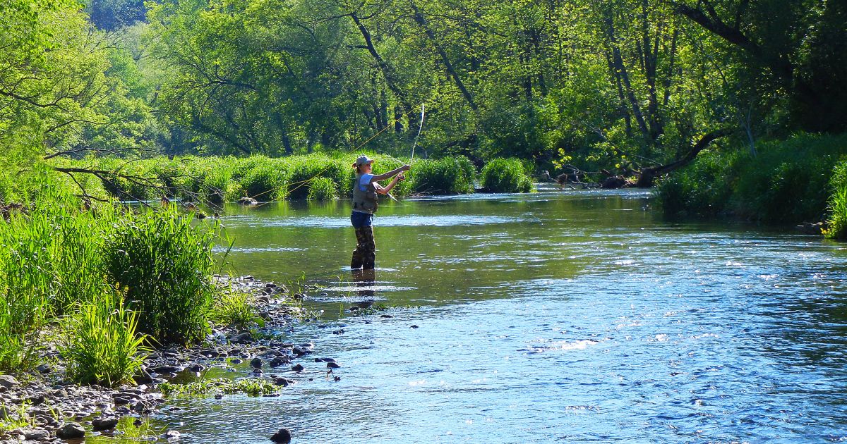 Stunning Streams Lure Trout Anglers to Minnesota  Explore Minnesota