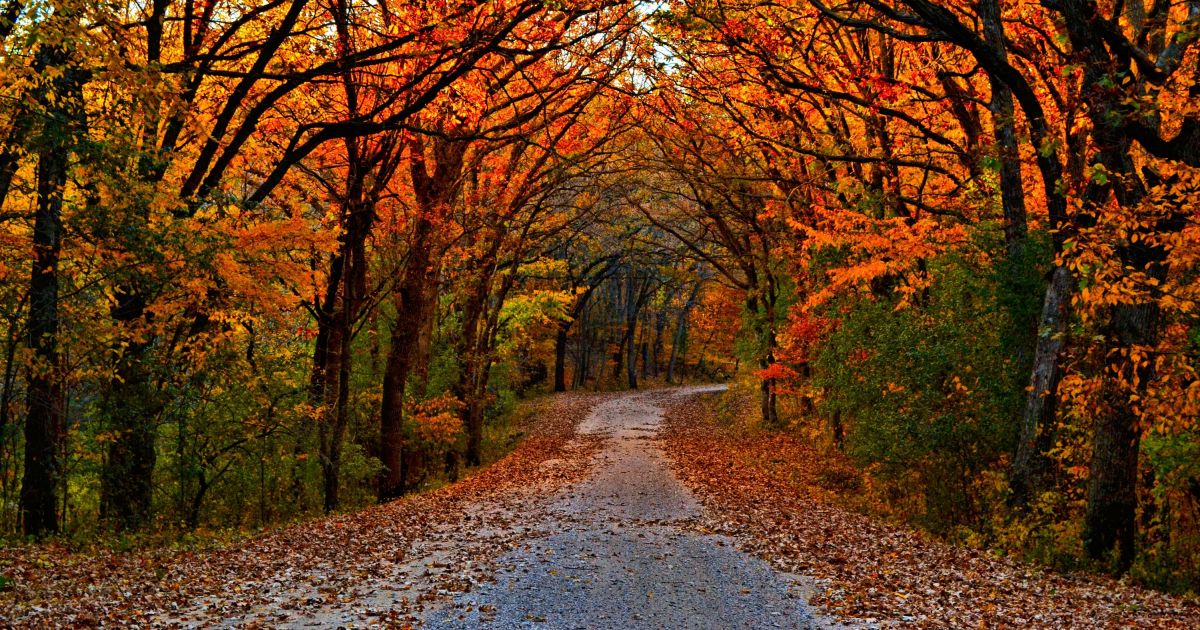 A Fall Road Trip on the Paul Bunyan Scenic Byway  Explore Minnesota