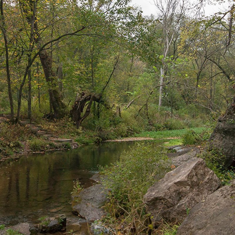 Stunning Streams Lure Trout Anglers to Minnesota  Explore Minnesota