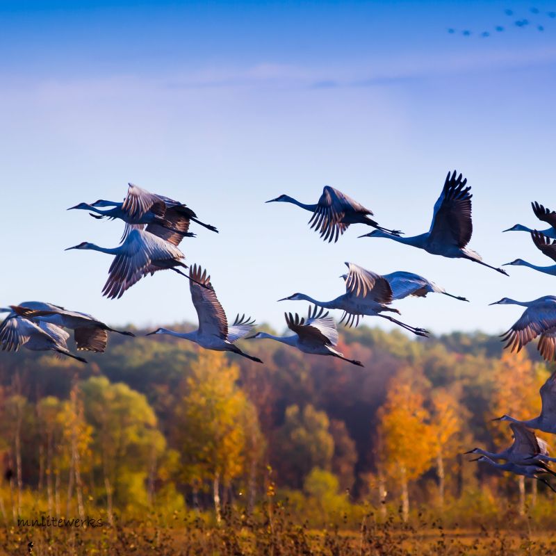 Sherburne National Wildlife Refuge | Explore Minnesota