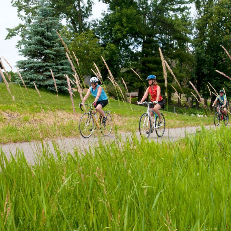 Paul Bunyan Scenic Byway  Explore Minnesota