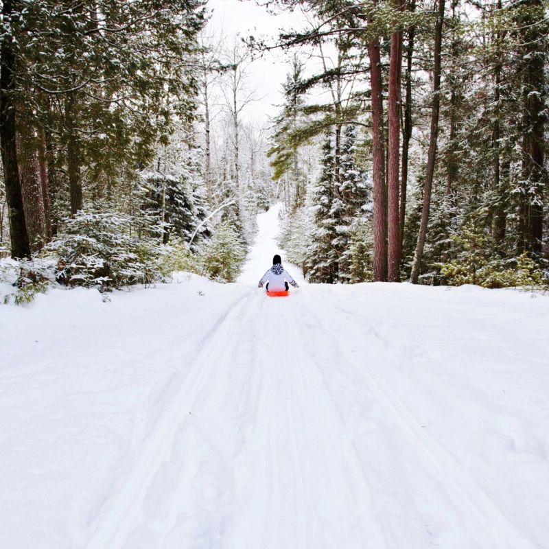 Escape to Serenity: Unwind at Minnesota's Little Elbow Lake State Park