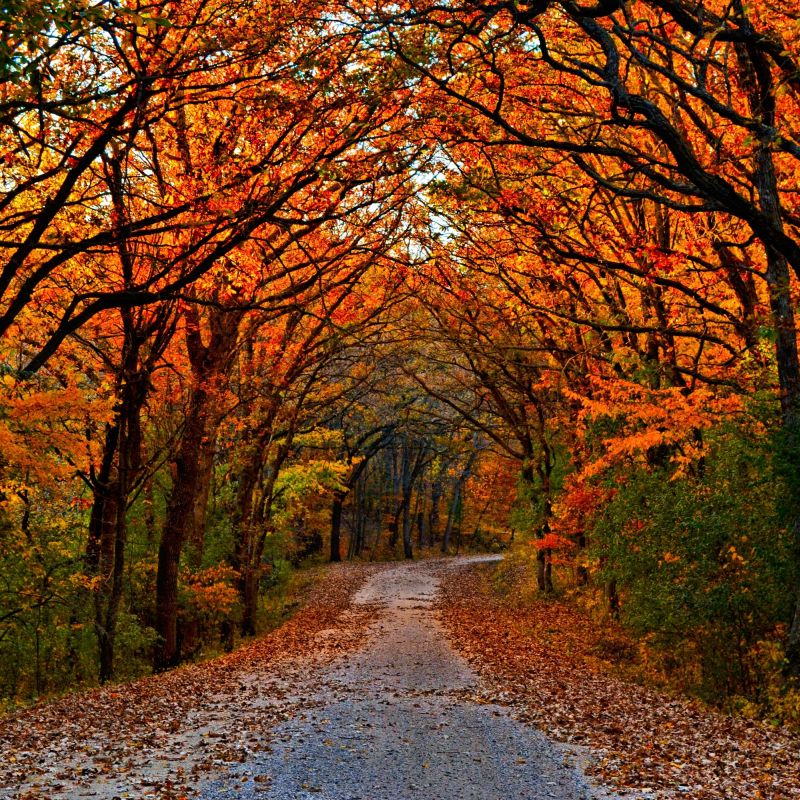 Paul Bunyan Scenic Byway  Explore Minnesota